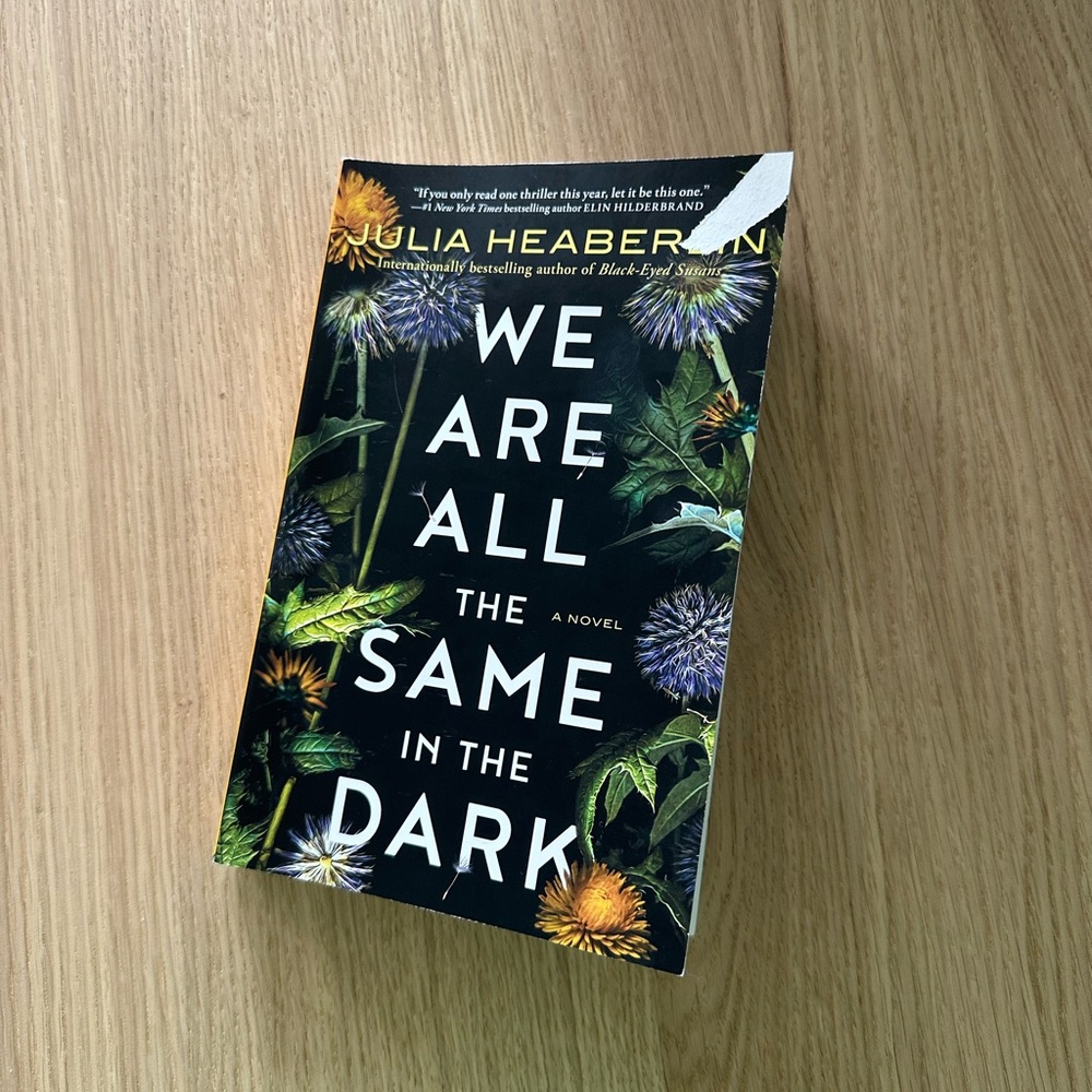 We Are All The Same In The Dark by Julia Heaberlin